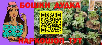 индика Кумертау