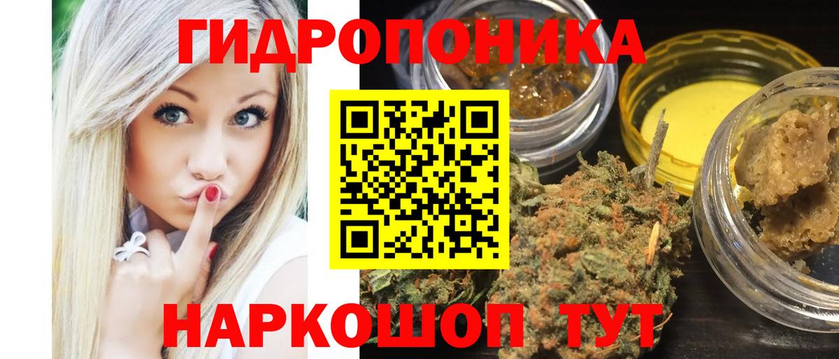 МАРИХУАНА ГИДРОПОН  Вход с VPN  Бошки марихуана тримм  Камышин  Конопля OG Kush  Шишки марихуана гибрид 